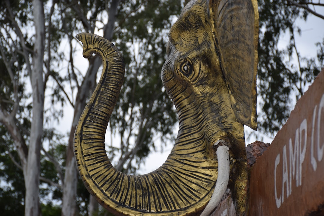 Shop the Roaring Collection: Metal Animal Sculptures That Make a Statement