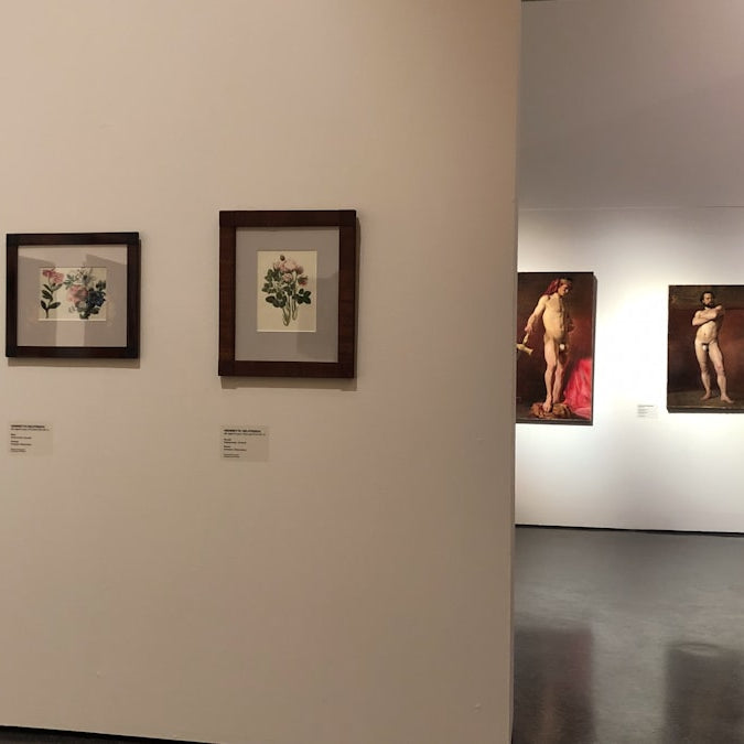 Collecting Art: Your Comprehensive Guide to Starting and Growing a Collection