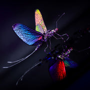 Colorful insect with iridescent wings on a dark background