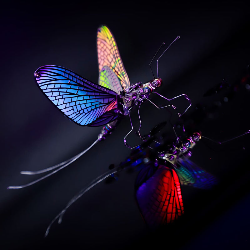 Colorful insect with iridescent wings on a dark background