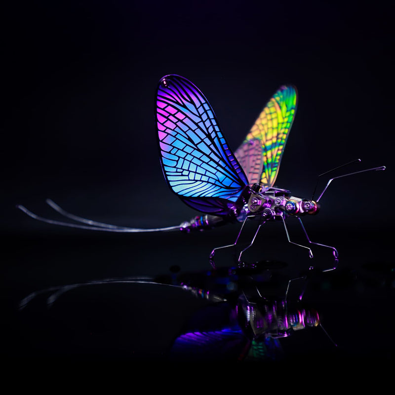 Colorful insect with iridescent wings on a reflective surface against a dark background