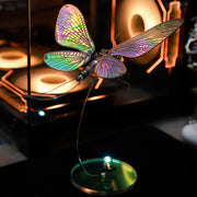 Decorative lamp with colorful butterfly wings on a dark background