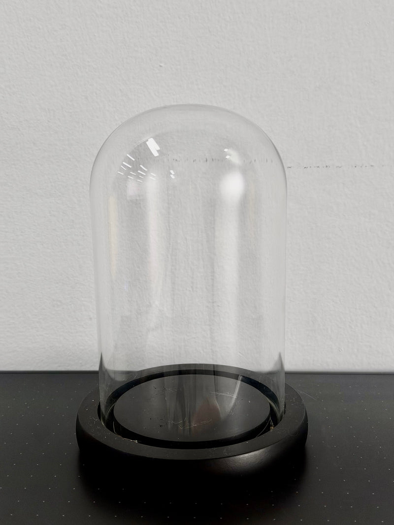 Clear glass dome with black base on a white background