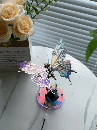 Aurora Butterfly