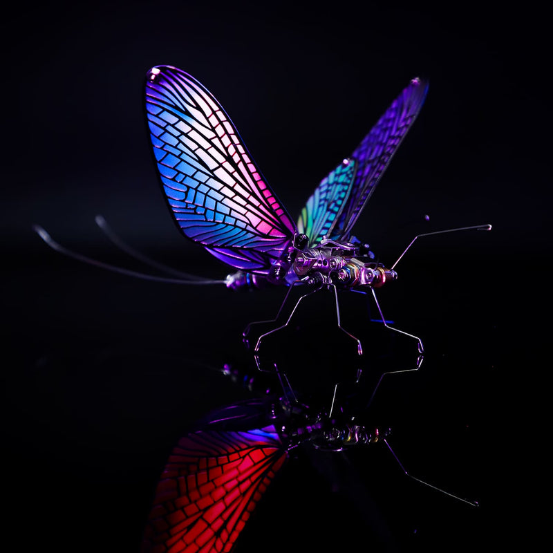 Colorful dragonfly-like insect on a black background