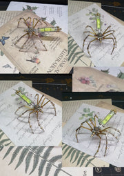 Collage of a spider-shaped object on vintage paper with botanical illustrations.